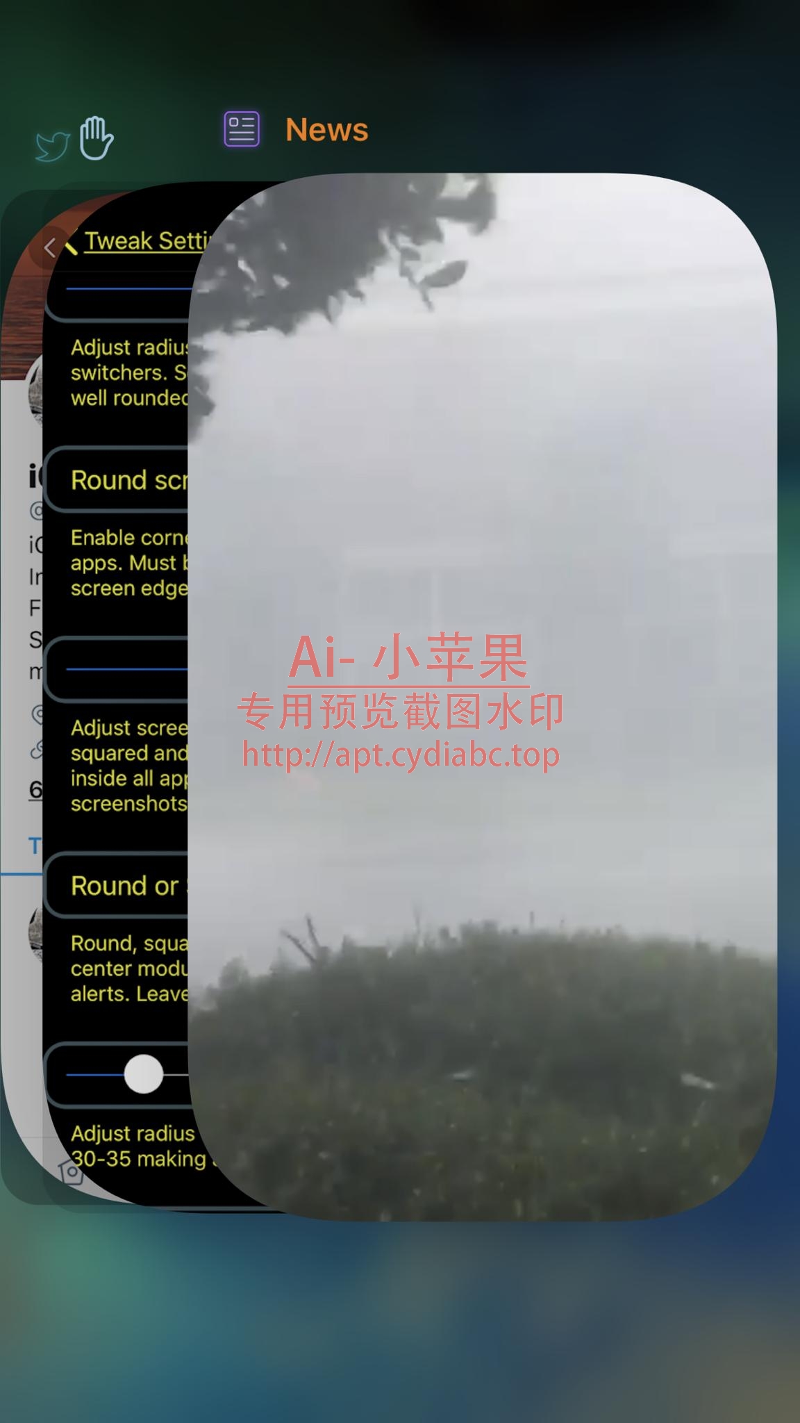 预览图片