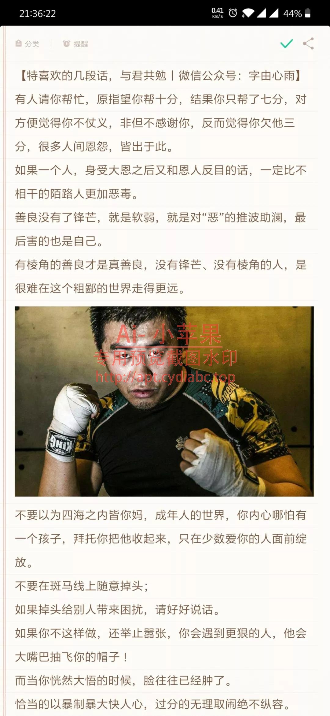预览图片