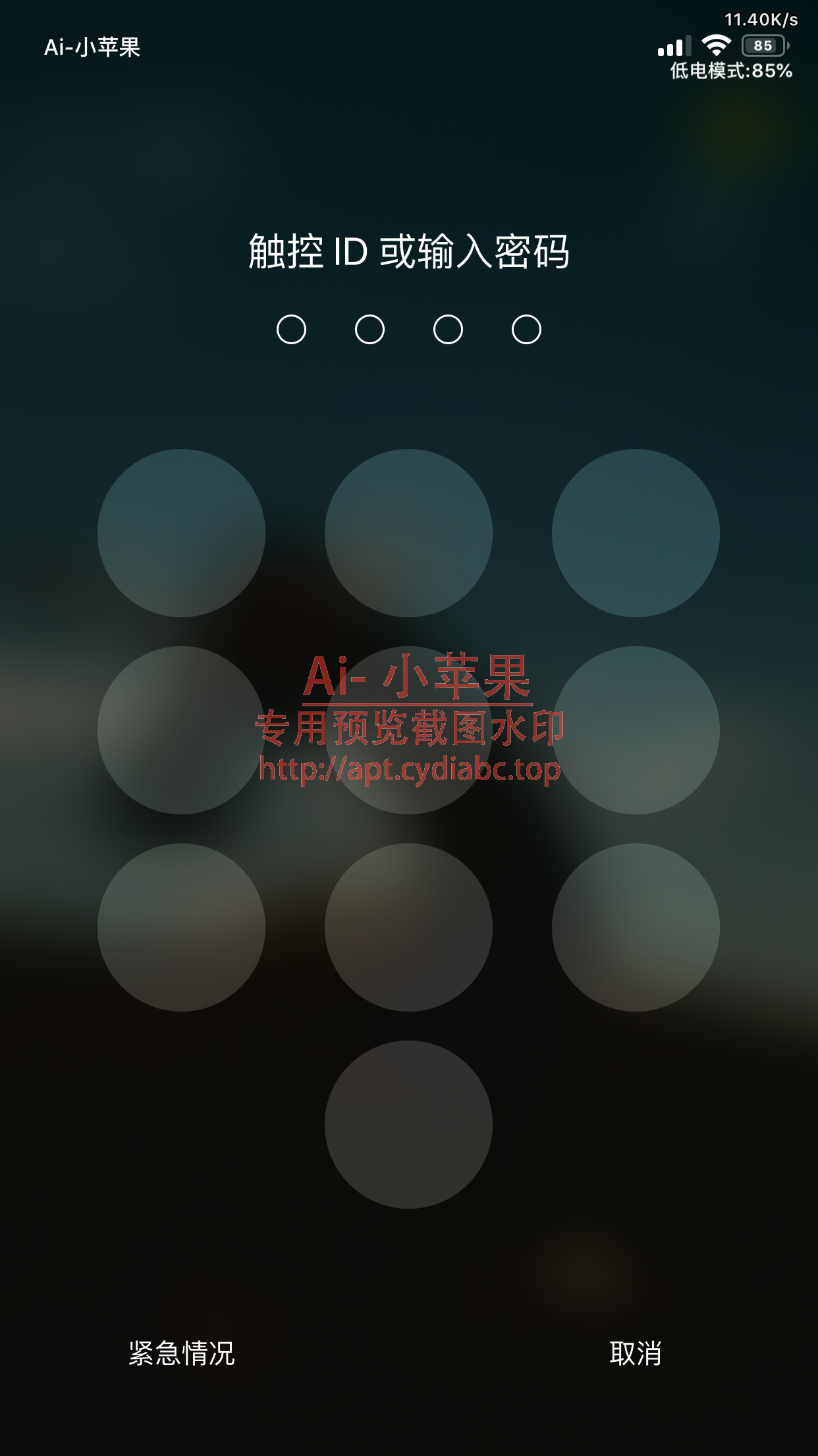 预览图片
