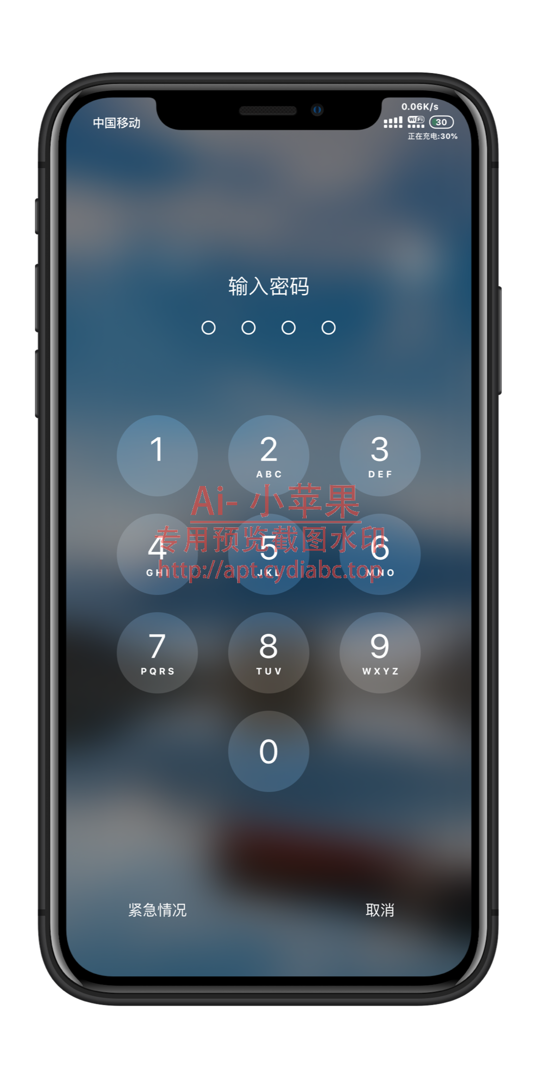 预览图片
