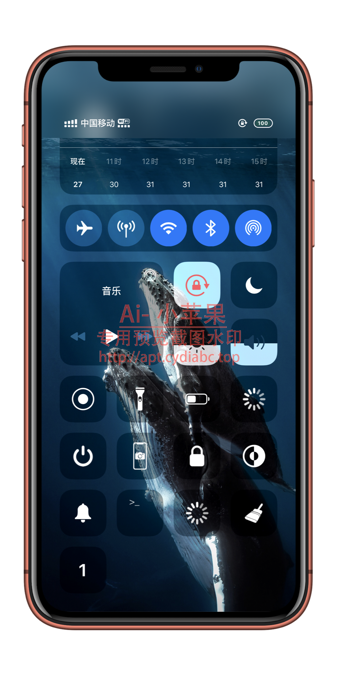 预览图片