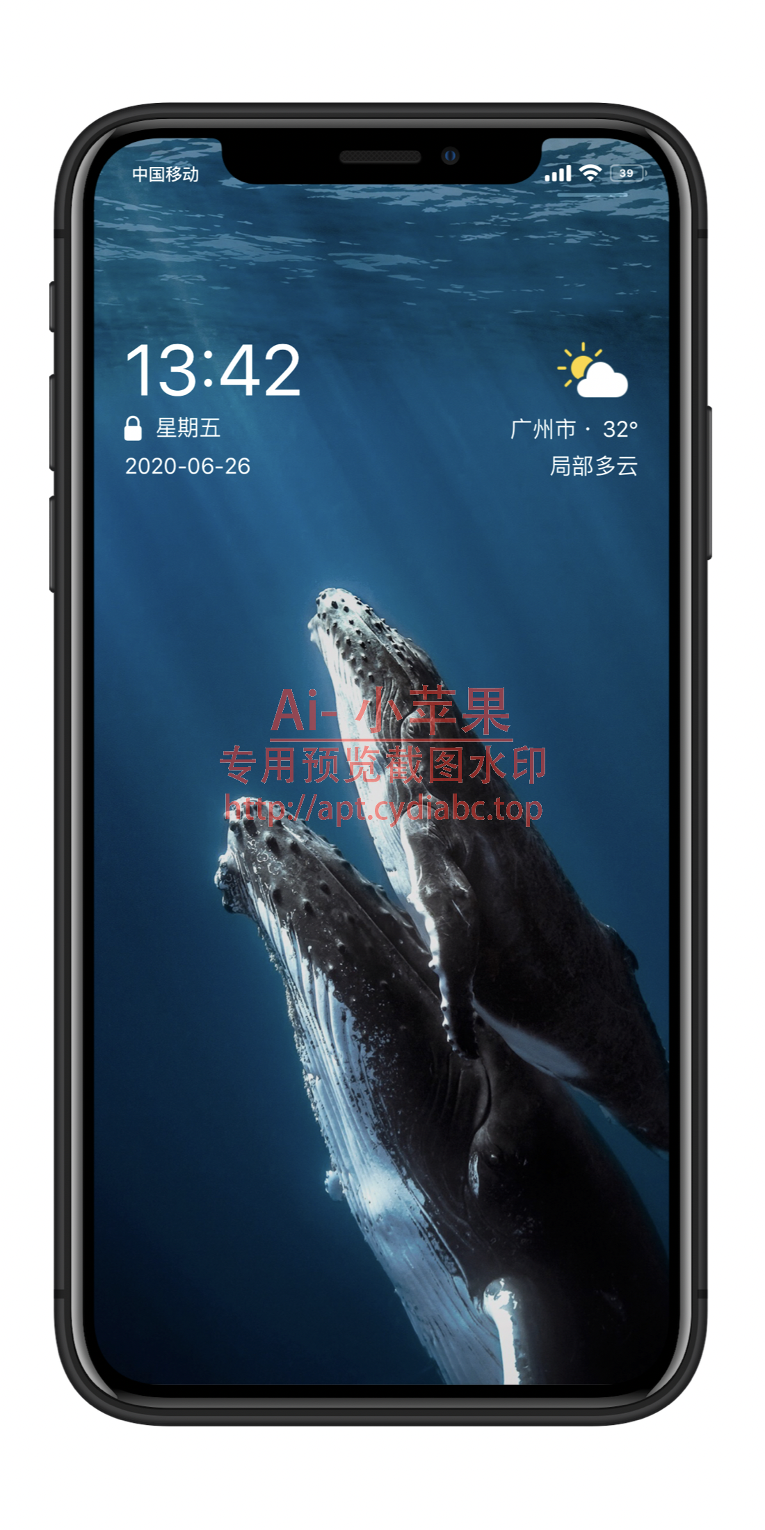预览图片